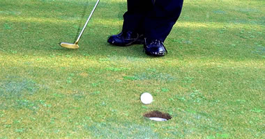 #image4 small portfolio4